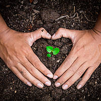 Growing Crop in between to hands which are formed like a heart